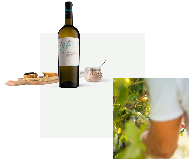 Degustazioni-Fontevecchia-CasalFarneto